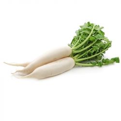 Imagén: Nabo Daikon Fresco 1kg