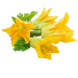 Flor de Calabacín Fresco 100g