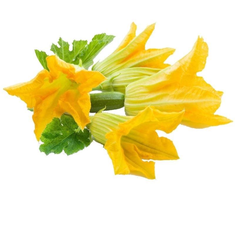 Flor de Calabacín Fresco 100g Flor de Calabacín Fresco 100g