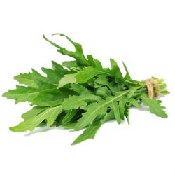 Rucula Selvática Fresca 100g