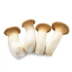 Eryngii (Seta de cardo) 140g aprox
