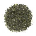 Té verde Sencha