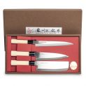 Set 3 Cuchillos Japoneses  (SASHIMI+SANTOKU+NAKIRI)