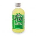 Bebida kombucha te verde eco (VITAE) 250ml