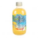 Bebida kombucha piña colada eco (VITAE) 250ml