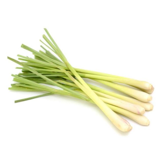 Citronela/Lemon Grass Fresco 100g