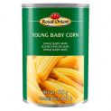 Maíz Baby Mazorca (ROYAL ORIENT) 425g