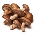 Shiitake Fresco 150g
