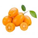 Kumquat Fresco 100g