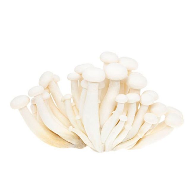 Seta Shimeji Blanca Fresca 150g