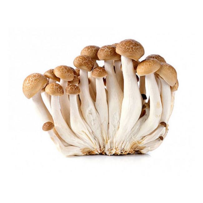 Seta shimeji marrón fresca 150g