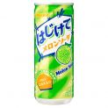 Soda Con Sabor a Melón (SANGRIA) 250ml