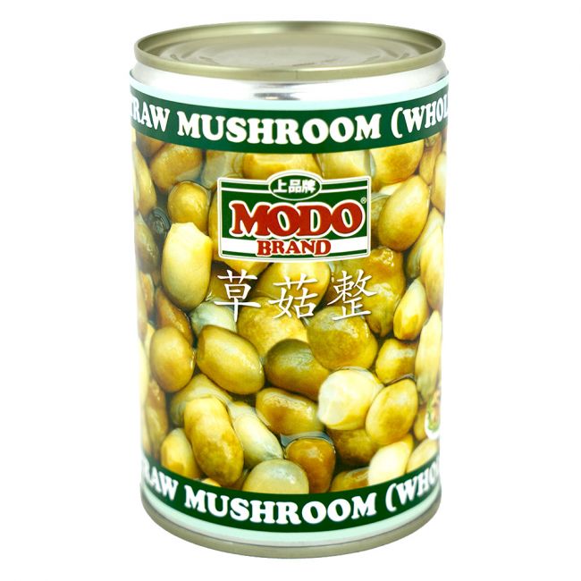 Seta chinos en conserva (MODO) 425g