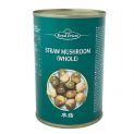 Champiñon chino en conserva (ROYAL ORIENT) 425g
