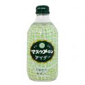Bebida gaseosa melón (TOMOMASU) 300ml