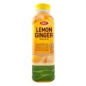 Bebida aloe vera s/limon y jengibre (OKF) 500ml
