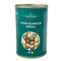 Champiñon chino en conserva (ROYAL ORIENT) 425g
