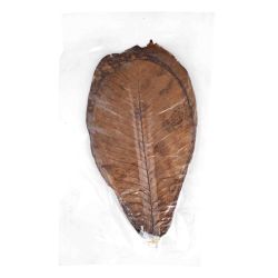 Hoja magnolia "HOOBA" secas...