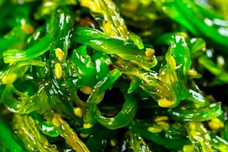 Comprar algas chinas, japonesas, coreanas, ... Algas Marinas Comestibles