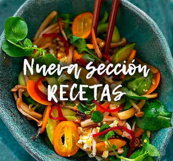 Sección recetas