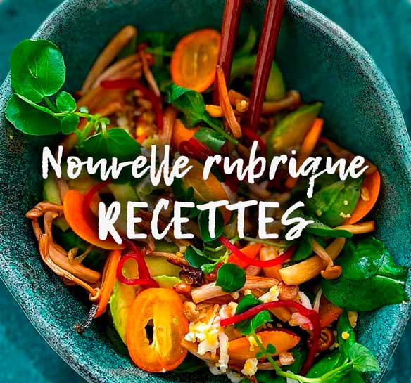 Rubrique Recettes